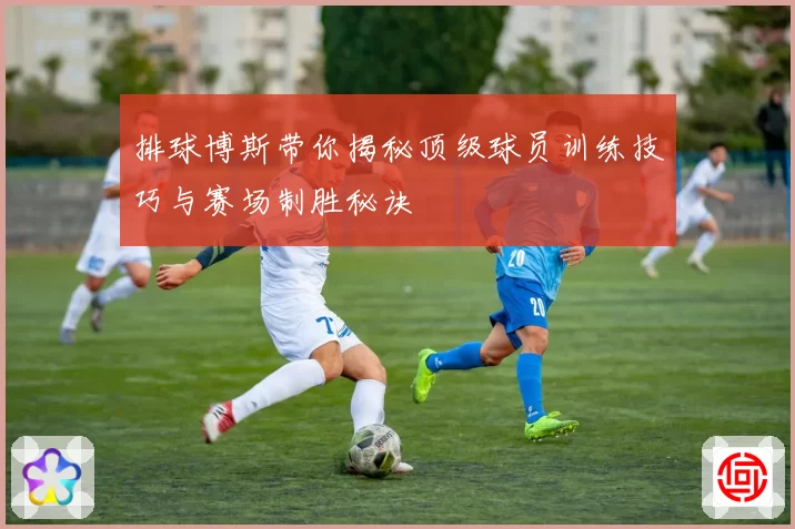 排球博斯带你揭秘顶级球员训练技巧与赛场制胜秘诀
