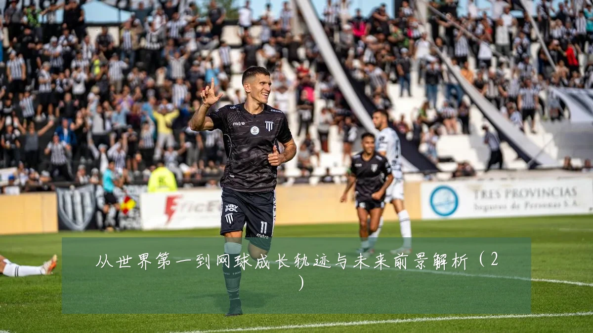 从世界第一到网球成长轨迹与未来前景解析（2）