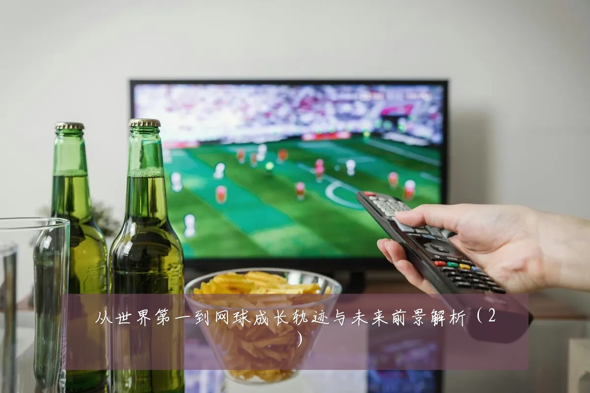 从世界第一到网球成长轨迹与未来前景解析(2)